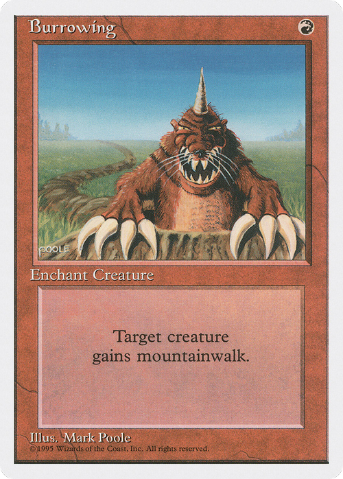 Burrowing (4ED-) - Fourth Edition