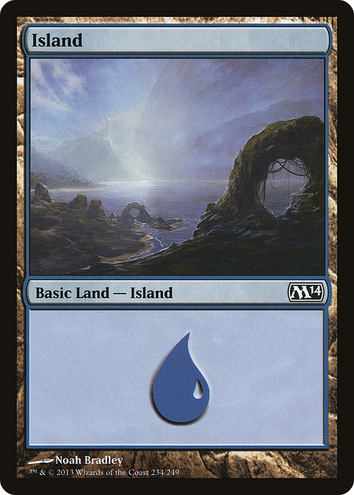 Island (234) (M14-234) - Magic 2014 Foil