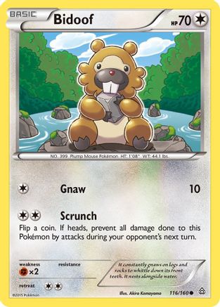 Bidoof 116  XY  Primal Clash - Common