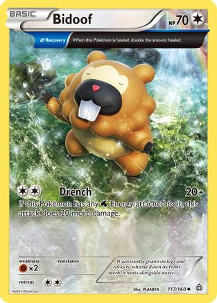 Bidoof (Alpha) 117  - Reverse Holofoil XY  Primal Clash - Uncommon