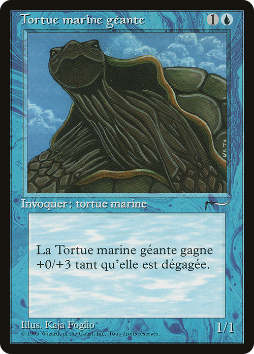 Giant Tortoise (French) - "Tortue marine geante" (REN-) - Renaissance