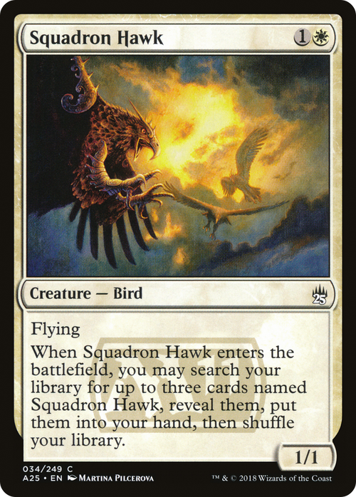 Squadron Hawk (A25-034) - Masters 25