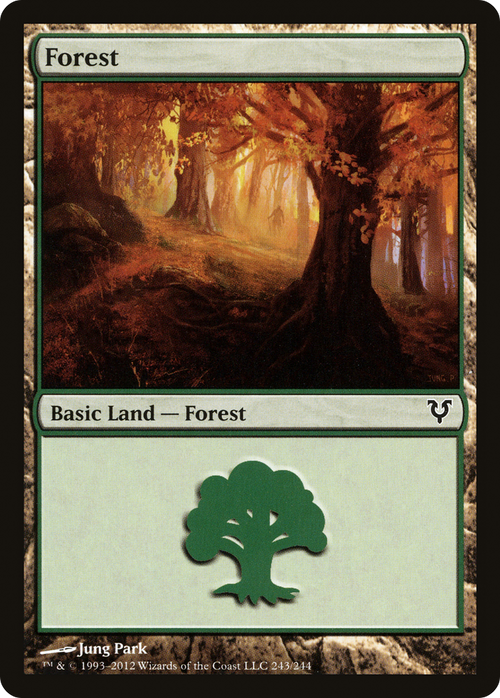 Forest (243) (AVR-243) - Avacyn Restored Foil