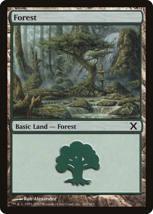 Forest (382) (10E-382) - Tenth Edition Foil