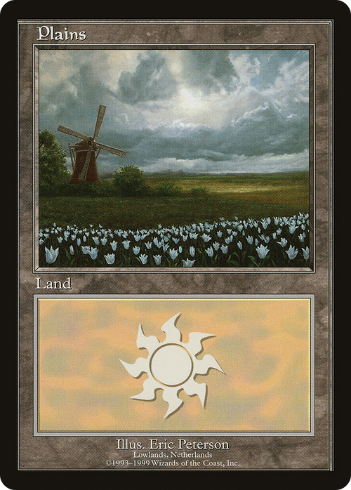 Plains - Lowlands, Netherlands (EURO-009) - European Land Program