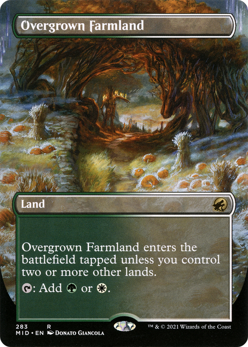 Overgrown Farmland (Borderless) (MID-283) - Innistrad: Midnight Hunt (Borderless) Foil
