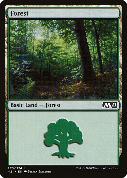Forest (273) (M21-273) - Core Set 2021 Foil