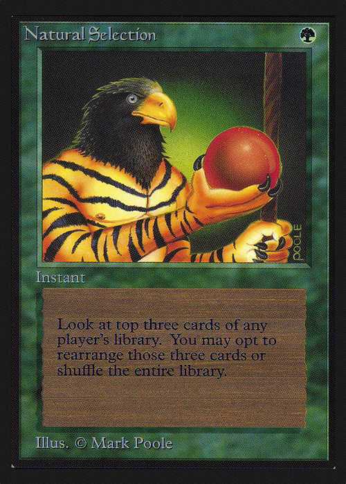 Natural Selection (IE) (IED-) - Intl. Collectors' Edition