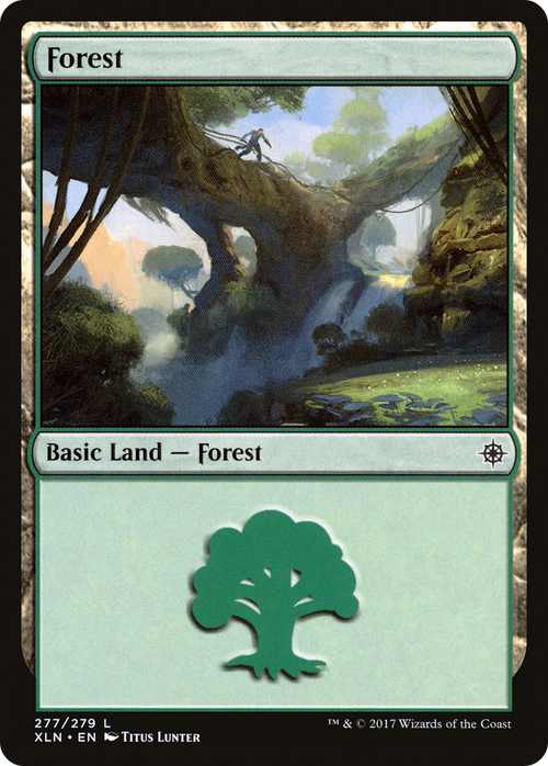 Forest (277) (XLN-277) - Ixalan Foil