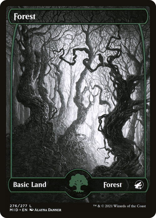 Forest (276) (MID-276) - Innistrad: Midnight Hunt: (Full Art, Showcase)