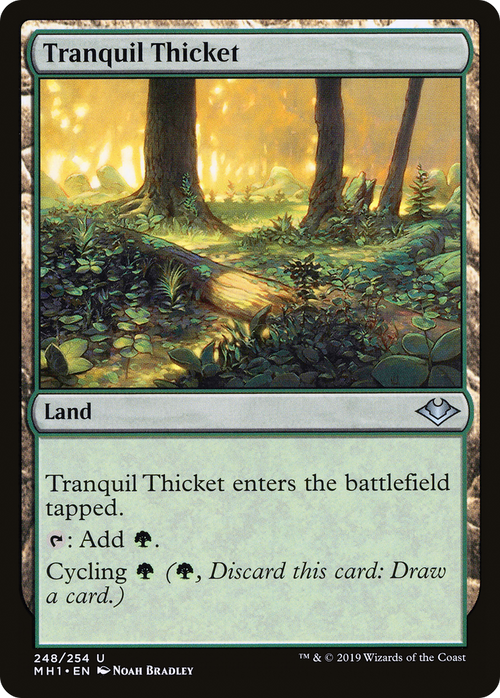 Tranquil Thicket (MH1-248) - Modern Horizons Foil