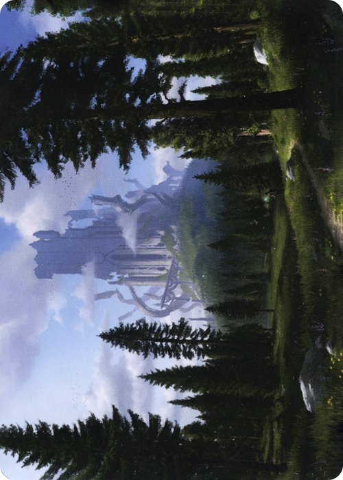 Forest // Forest (AAFR-061) - Adventures in the Forgotten Realms Art Series (Borderless)