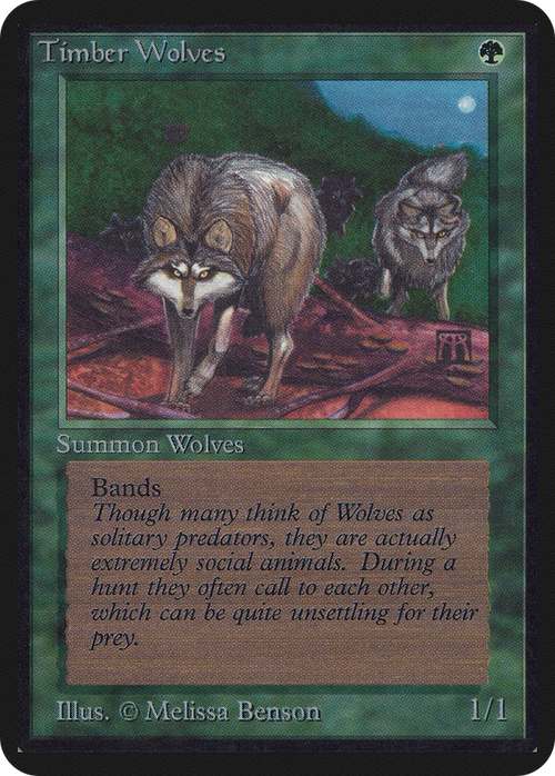 Timber Wolves (LEA-) - Limited Edition Alpha