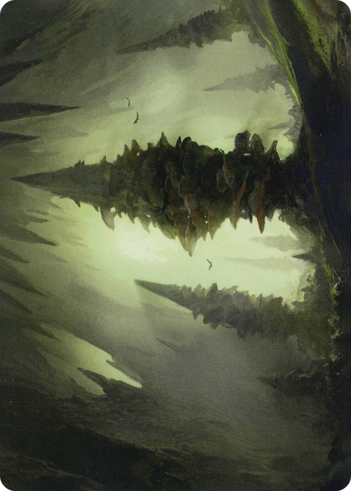 Forest // Forest (AAFR-055) - Adventures in the Forgotten Realms Art Series (Borderless) Foil