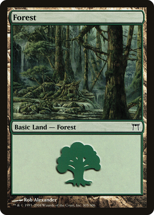 Forest (305) (CHK-305) - Champions of Kamigawa