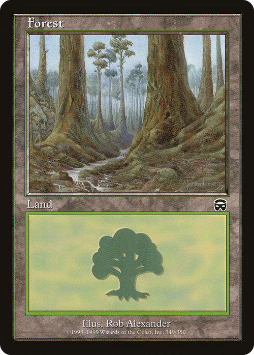 Forest (349) (MMQ-349) - Mercadian Masques