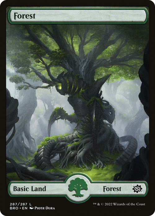 Forest (287) - Full Art (BRO-287) - The Brothers' War