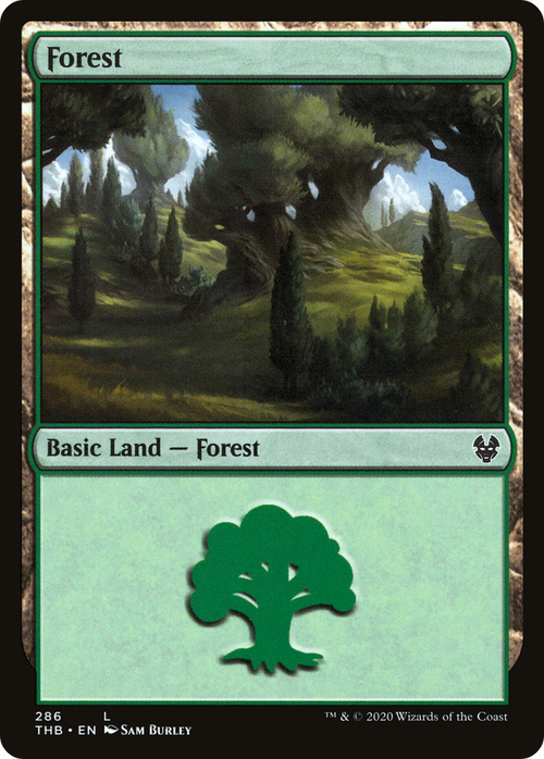 Forest (286) (THB-286) - Theros Beyond Death