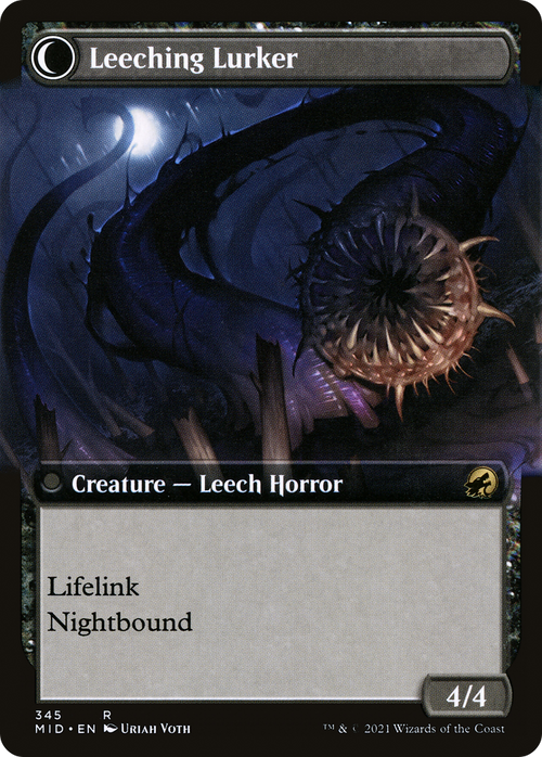 Curse of Leeches (Extended Art) (MID-345) - Innistrad: Midnight Hunt: (Extended Art, Double Faced Transform) Foil