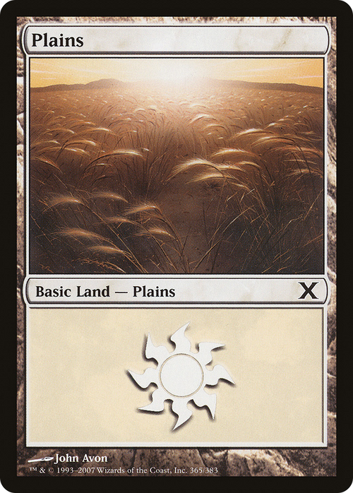 Plains (365) (10E-365) - Tenth Edition