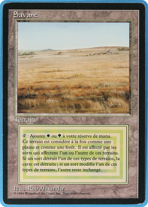 Savannah (FBB-) - Foreign Black Border