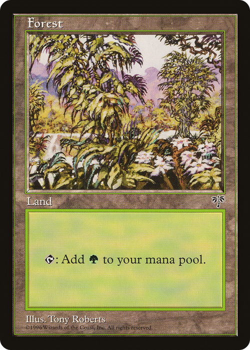 Forest (White Flowers Right) (MIR-) - Mirage