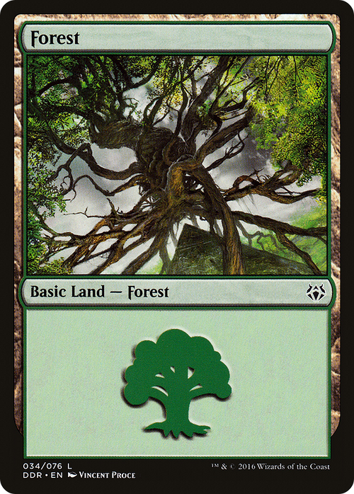 Forest (034) (DDR-034) - Duel Decks: Nissa vs. Ob Nixilis