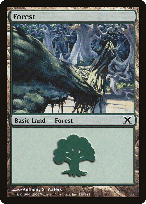 Forest (380) (10E-380) - Tenth Edition