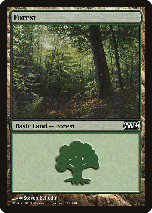 Forest (247) (M14-247) - Magic 2014 Foil