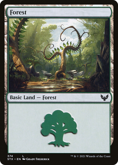 Forest (STX-374) - Strixhaven: School of Mages Foil