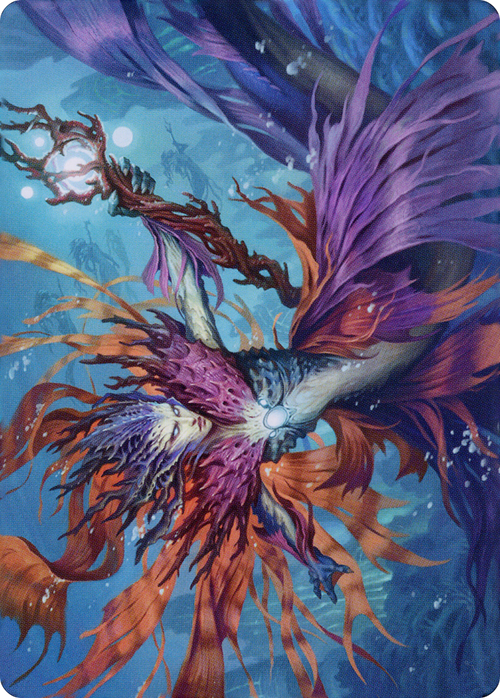 Vodalian Hexcatcher // Vodalian Hexcatcher (ADMU-020) - Dominaria United Art Series (Borderless)