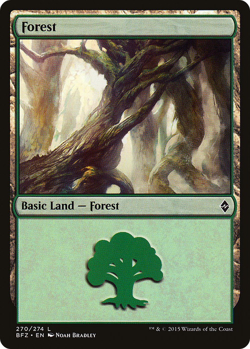 Forest (270) (BFZ-270) - Battle for Zendikar