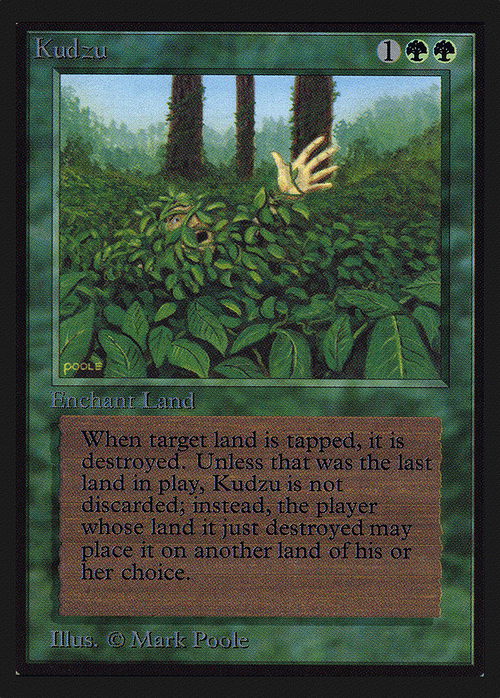 Kudzu (IE) (IED-) - Intl. Collectors' Edition